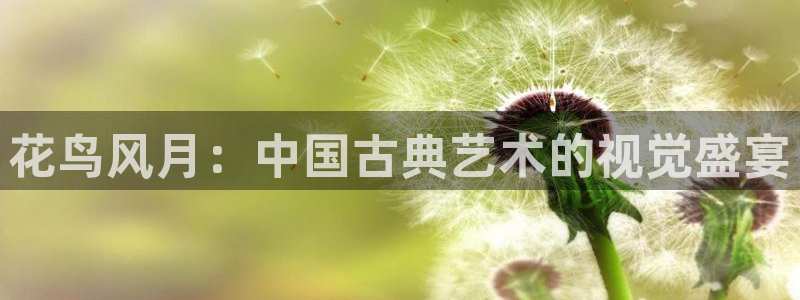女神漫画,在线观看：花鸟风月：中国古典艺术的视觉盛宴