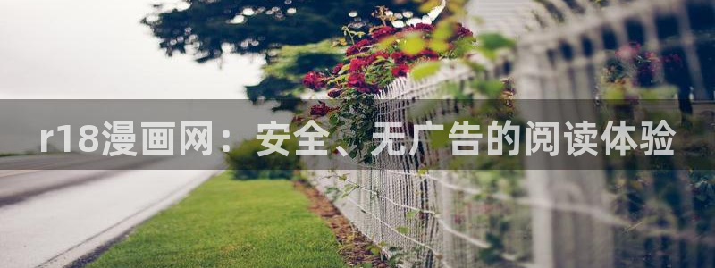 女神漫画无翼鸟：r18漫画网：安全、无广告的阅读体验