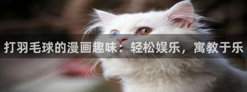 网咖女神漫画：打羽毛球的漫画趣味：轻松娱乐，寓教于乐